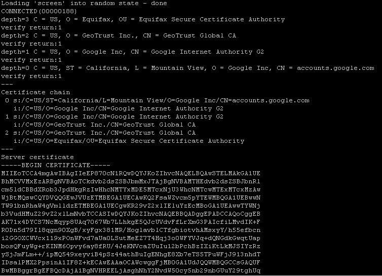 ../../_images/google_ssl_0011.png