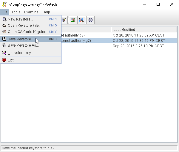 ../../_images/google_ssl_0131.png