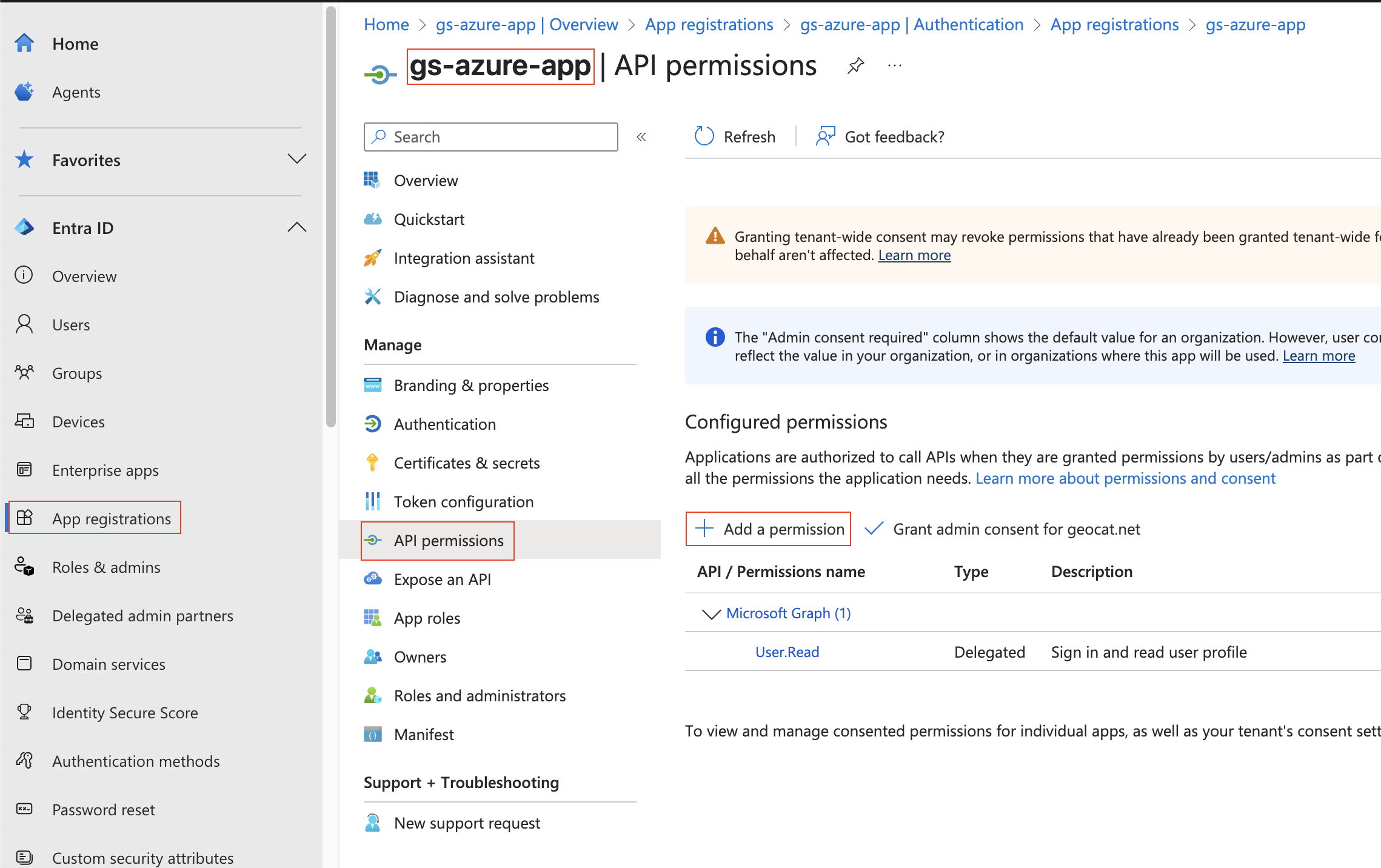 ../../../_images/azure_gs_msgraph2.png